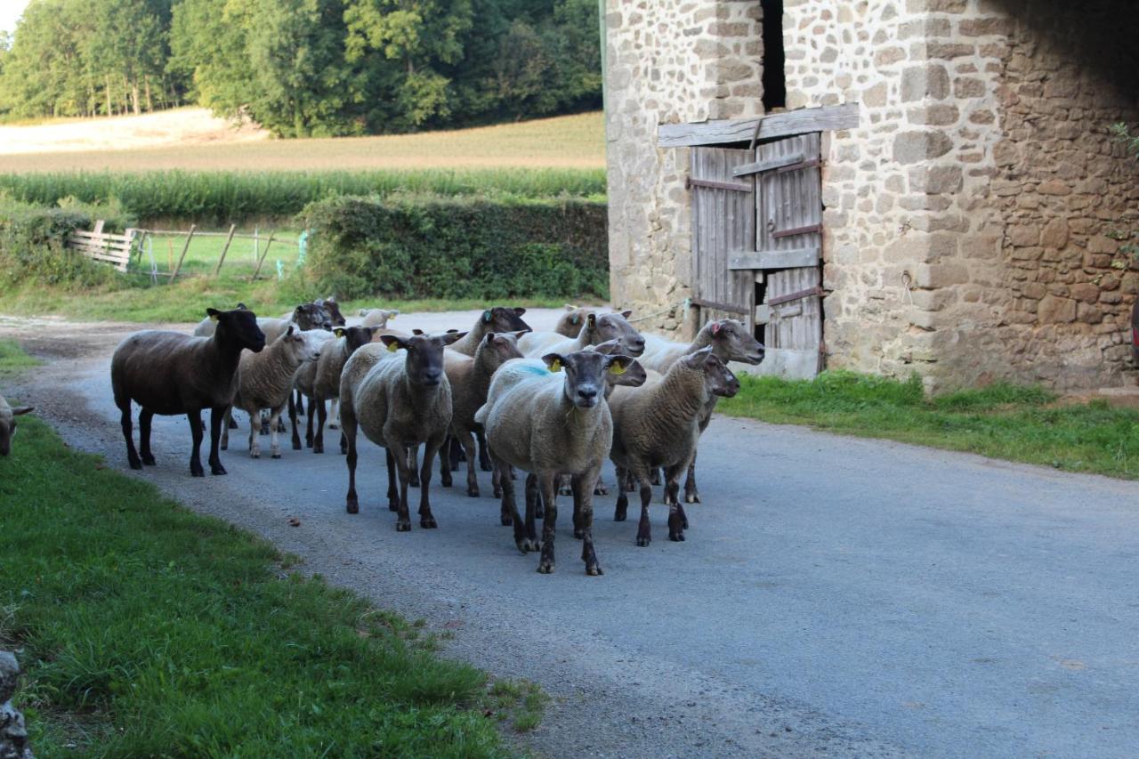 Bed and Breakfast Dans La Creuse Mourioux-Vieilleville Exteriér fotografie